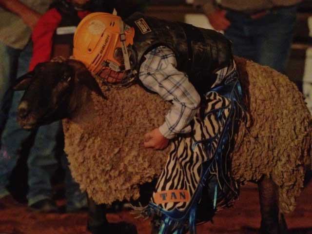 Tejas Rodeo Co